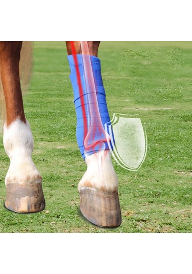 Suntek 4 Parça At Bacak Sarar Pony Legging Wrap At Atel Destek Mavi