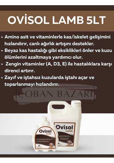 Royal İlaç Ovisol Lamb 5 Lt