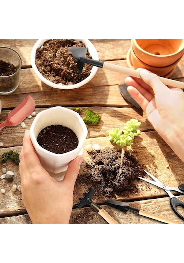 Maoyaya Sukulentler Seti Peri Nakil Minyatür Mini Kazma Kaktüs El Dikim Dikim Dikim Bonsai Bahçesi Bahçecilik Bahçe Ayıklama Aletleri Alet Adet 13 Bw