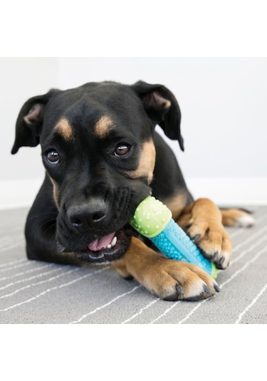 Kong Core Strength Köpek Çiğneme Oyuncağı 7 CM