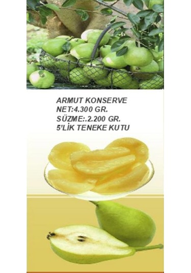 Odak İris Armut Konservesi 5 KG