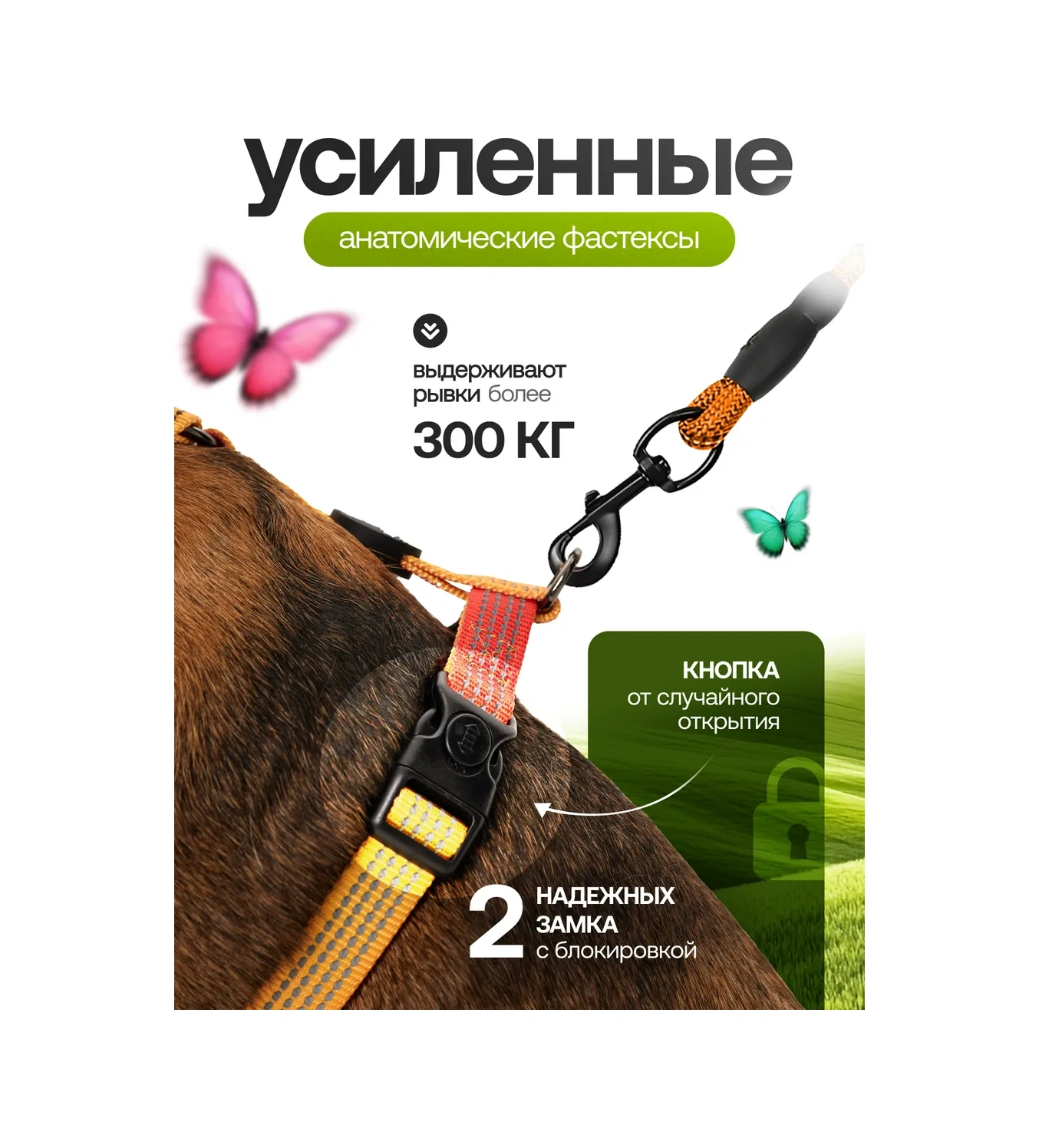 Petfort Köpekler İçin Anatomik Tasma 431183339