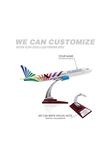 Zekupp - Maket Uçak - Boeing 737-800 1/100 - RENKLİ ÖZEL TASARIM Model Uçak