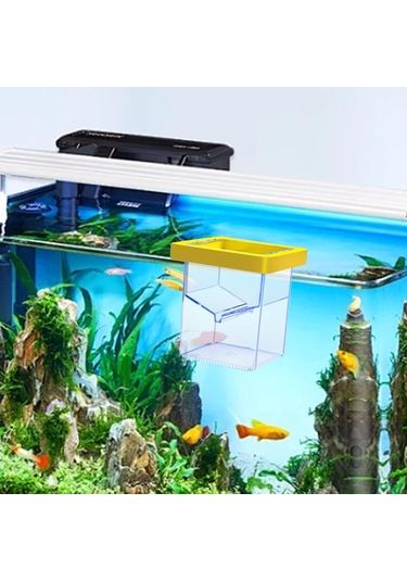 Suntek Yüzen Balık Yetiştirici Kutusu Palyaço Balığı