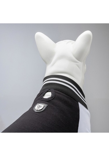 College Brooklyn Küçük Orta Ve Büyük Irk Köpek Sweatshirt