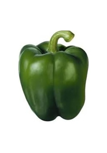 200 Adet Tohum Acı Yeşil Dolmalık Köy Biberi Tohumu Organik Bahçe