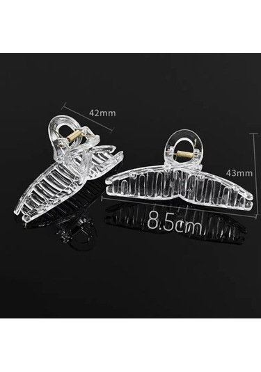 Okavango Kadın Şeffaf Fiyonk Mandal Toka Çok Renkli