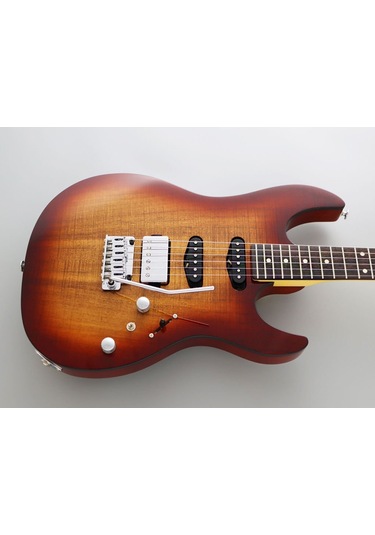 Fujigen Odyssey Elektro Gitar Jos2duew2r/knb