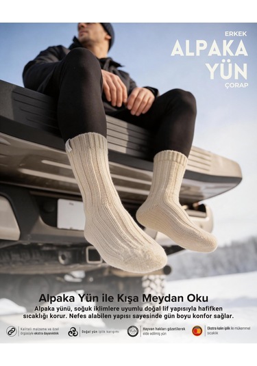 Bolero Nordsox E31 Erkek Alpaka Yün Soket Çorap 41-45 Bej