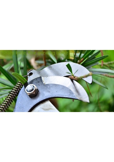 Mufunye Bahçe Ağacı Budama Ve Meyve Hasat Aracı - Yüksek Kollu, İp Li, Kolay Kullanım, Dayanıklı Siyah Yüksek Dal Kesici