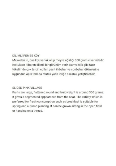 AGRodal Tarım Ata Tohumu Yerli Dilimli Pembe Köy Domatesi 100 Adet Tohum