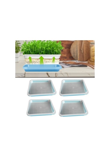 Trendooze 4 Adet Bahçe Filizleme Tepsisi Buğday Çimi Seti