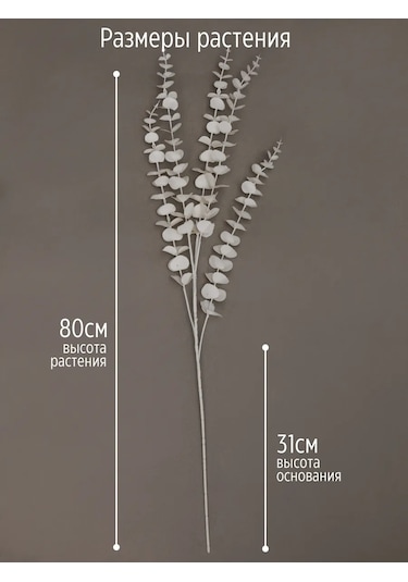 Wisty Yapay Okaliptüs Beyaz, Dekorasyon İçin Dal 80 Cm 348725780 Beyaz