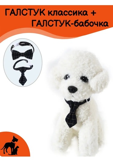 Tevdı Köpekler Ve Kediler İçin Papyonlu Klasik Kravat Seti - Aksesuar 153054584