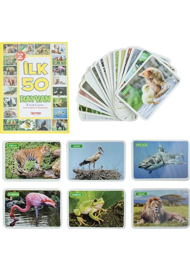 Flash Cards Ilk 50 Hayvan Bebek Eğitim Seti