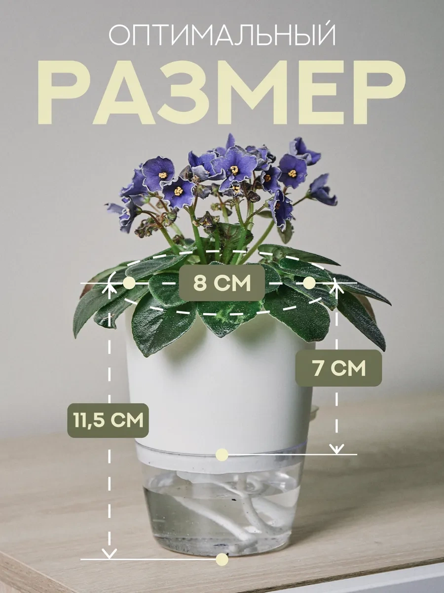 Atari Oda Bitkileri İçin Fitilli Otomatik Sulamalı Saksılar 417382287