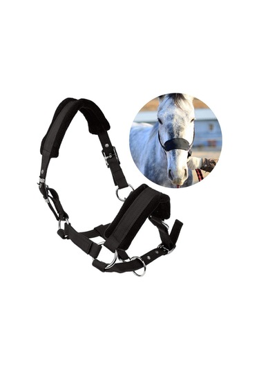 Suntek Kalınlaşmak Midilli At Boyundan Bağlamalı Baş Yaka At Çok Renkli