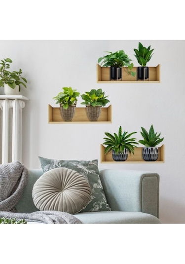 Raflı Bitki Tasarımlı Yapışkanlı Duvar Sticker 20 30 Cm 3lü Set Renkli