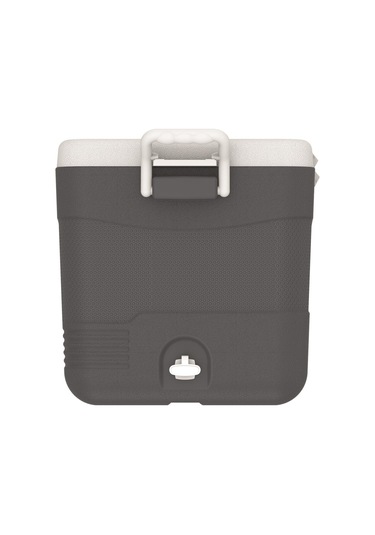 Icepeak Coolcraft 60 Buzluk 56.4 Litre-füme Füme