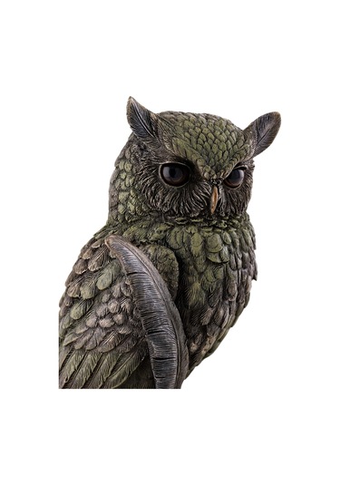 Kitap Üzerinde Baykuş Biblosu