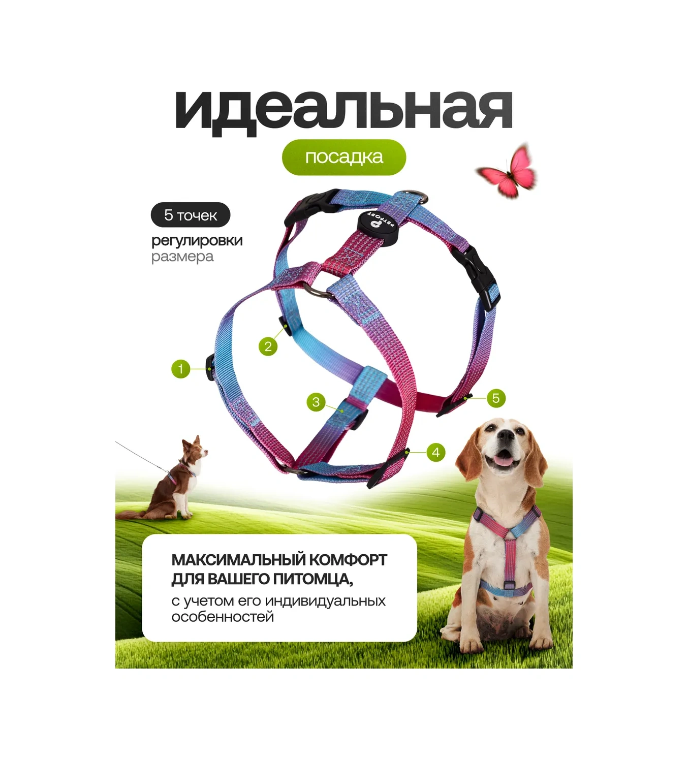 Petfort Köpekler İçin Anatomik Tasma 431185165