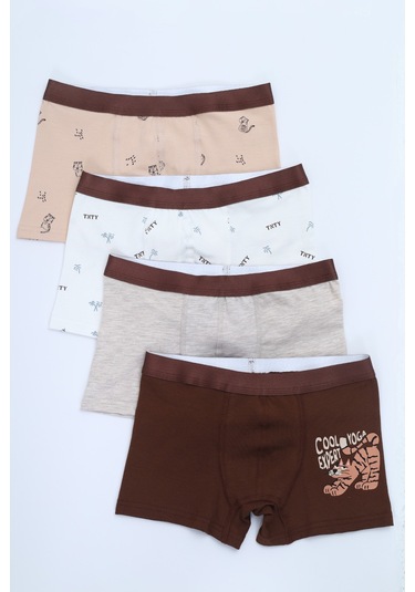 Toontoy Erkek Çocuk Çok Desen Baskılı 4lü Paket Boxer Çok Renkli