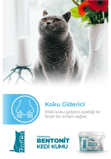 Zenicat Kedi Kumu İnce Taneli Kokusuz Doğal Bentonit 10 L