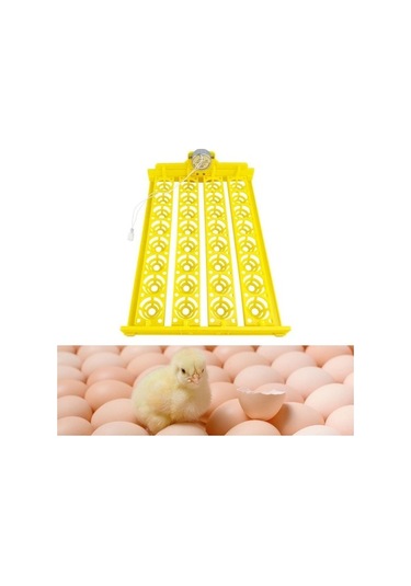 Pazly Otomatik Yumurta Çevirme Makinesi Kuluçka Tavuk Suntek Ac-12v Pm