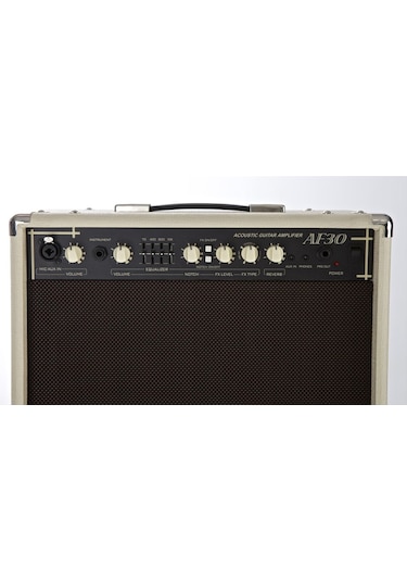 Cort Af30 Akustik Gitar (Saz) Amfisi 30W