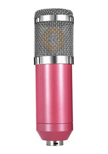 Profesyonel Ses Kaydı İçin Yüksek Hassasiyetli Kondenser Mikrofon, Radyo Ve Tv Stüdyoları İçin İdeal