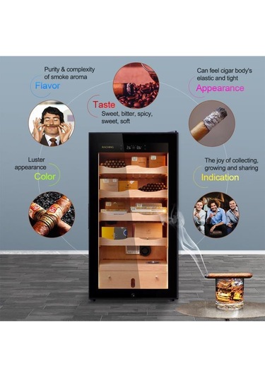 Raching Elektronik Puro Dolabı Siyah Ma50