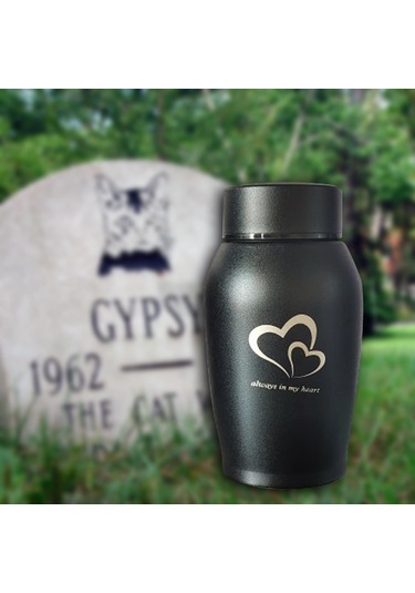 Homyl Pet Urns Paslanmaz Çelik Hatıra Urn Su Geçirmez Siyah Altın