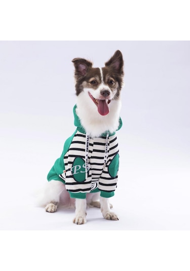 Pawstar Yeşil Lucky Club Polarlı Küçük Irk Köpek Sweatshirtü
