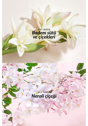 Avon Tta Everlasting Kadın Parfüm EDP 50 ML + Vücut Losyonu 125 ML