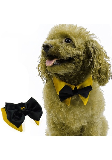 Homyl Ayarlanabilir Pet Köpek Tasması Köpekler Turuncu-s Turuncu