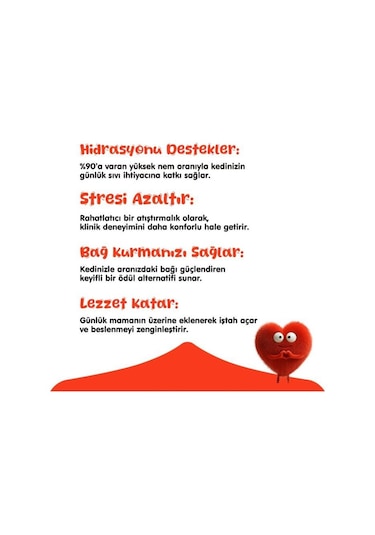 Wanpy Karışık 8 Lezzetli Sıvı Kedi Ödülü 25 X 14 Gr