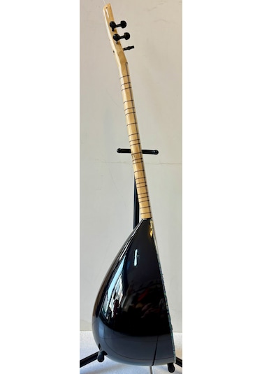 Artemis Leslili Elektro Bağlama - Model 4