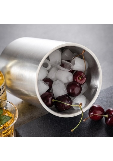 Wondernest Paslanmaz Çelik Şarap Kovası, Çift Bölmeli Buz Bar Ev & Şampanya Soğutucu