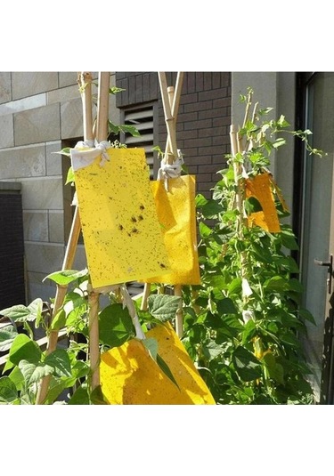 Zyzqstore 100 Adet Güçlü Meyve Sineği Tuzağı, Böcek Sarı Yapışkanlı Farklı Renklerde, 30-100 Adet