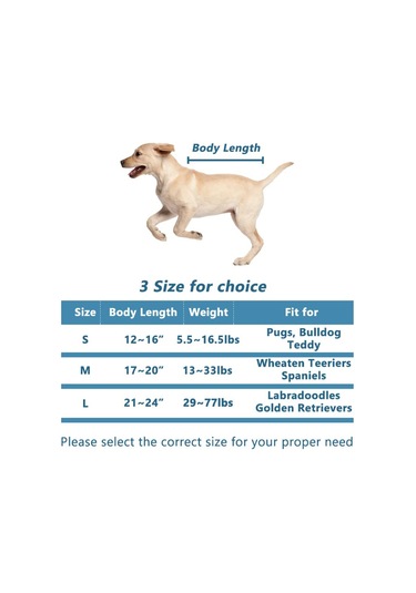 Mufunye Kedi Banyo Kurutma Kutusu Hızlı Kuru Hava Tüy Bakımı