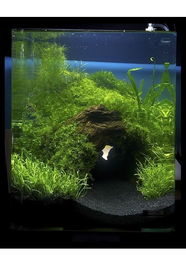 Ahs 20 Kg 1-2mm Hagen Siyah Bitki Kumu Akvaryum Kumu 20 Kg