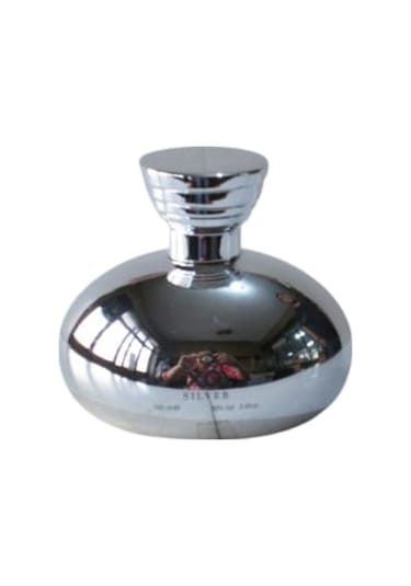 XO Silver Kadın Parfüm EDT 100 ML