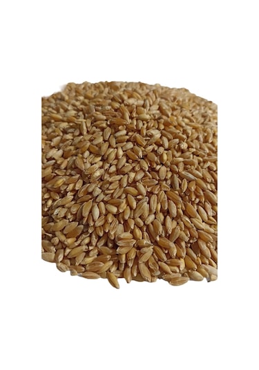 Şenler Hediklik Buğday Diş Buğdayı 1 KG