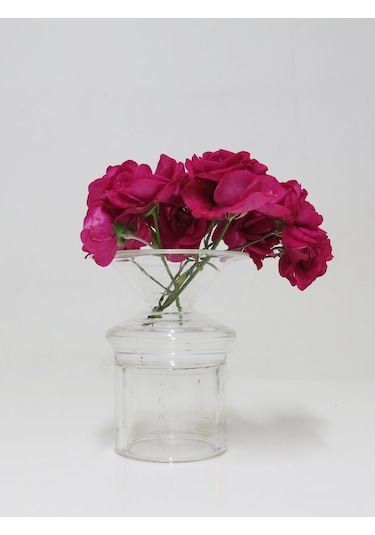 Missi Clear Ayaklı Cam Vazo