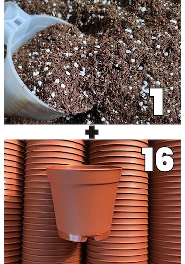 1 lt kaktüs sukulent yetiştirme toprağı ve 16 adet 5.5 cm saksi