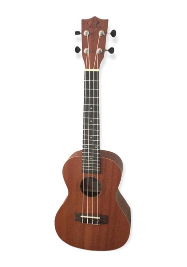 Ukulele - Puka - Concert