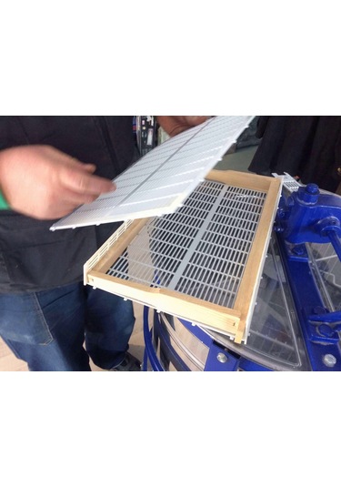 Ana Arı Hapsetme 3 Çerçeveli