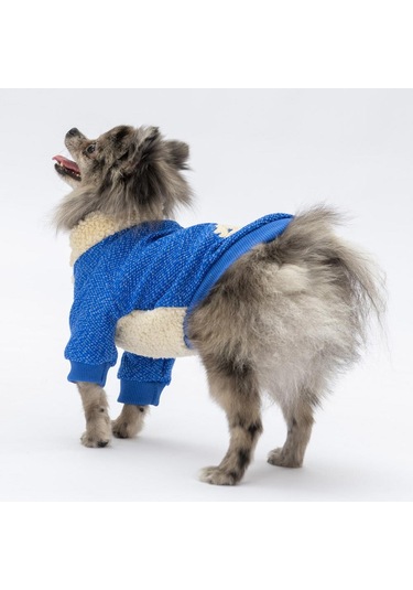 Pawstar Sax Mavi Alaska Esnek, Küçük Irk Triko Köpek Trikosu