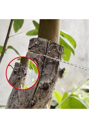 Dofolink 70cm Çelik Tel Orman Kesici - Pp Kollü Mini Cep Gergedan, Kamp & Hayat Kurtarma, Su Bitkileri Ve Genel Kullanım İçin Hafif Tasarım Çok Renkli