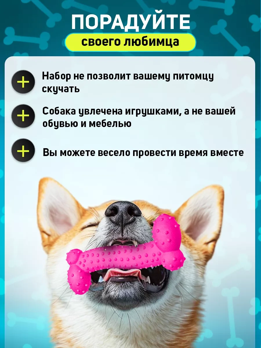 Tooth For Tooth Köpekler İçin Oyuncak Seti 247504217